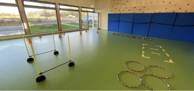 Ballschule SC Eching